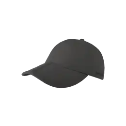 Clarion Pet