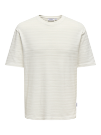 Givo Reg 12 T-shirt