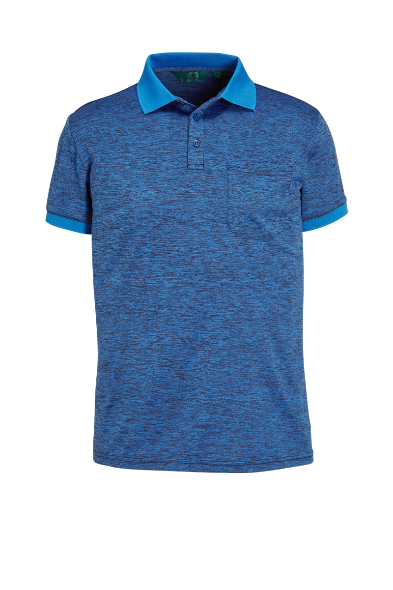 Fons Polo