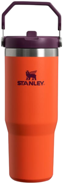 IceFlow Flip Straw Tumbler 890ml