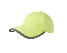Apollo Pet