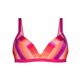 Bikini Top Triangle