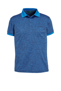 Fons Polo