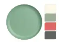 Melamine Dinerbord