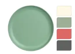 Melamine Dinerbord
