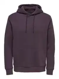Ceres Hoodie Sweat