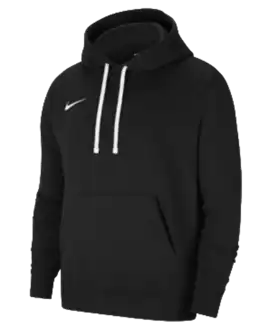 Fleece Park 20 Hoodie
