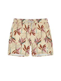 Fervis Shorts