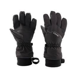 Phoenix Handschoen