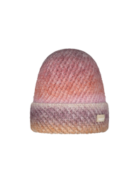 Fanatail Turnup Beanie