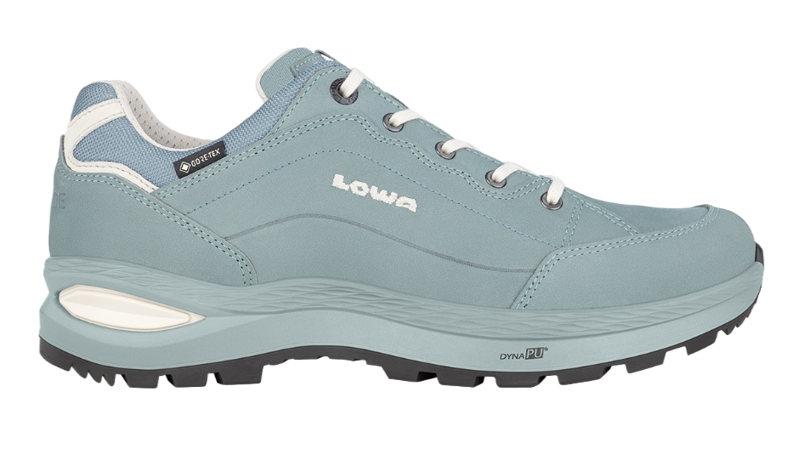 Renegade Evo GTX Lo Wandelschoenen