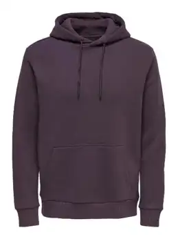 Ceres Hoodie Sweat