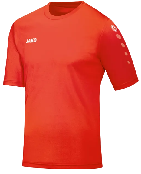 Team SS T-shirt Junior