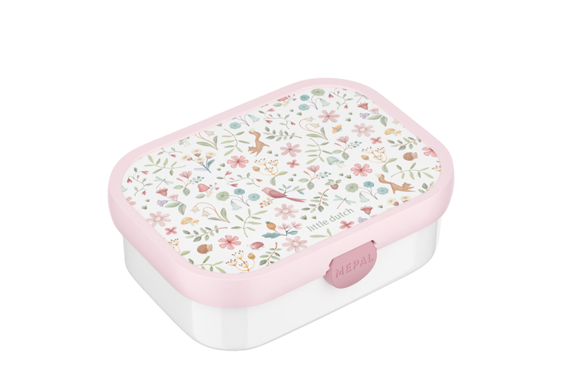 Lunchbox Campus - Fairy Wonders