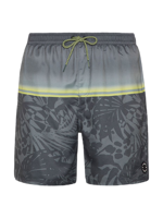 Eljas Beachshort