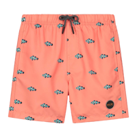 Swimshort Clownfish