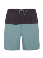 Boydin Beachshort