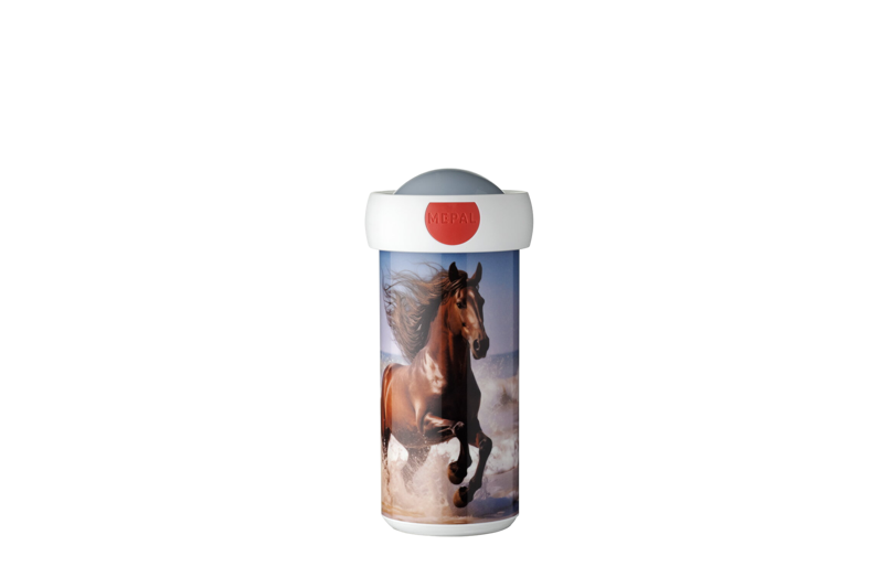 Schoolbeker Campus 300 Ml
