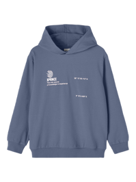 Delix Hoodie