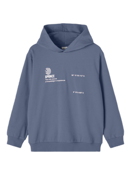 Delix Hoodie