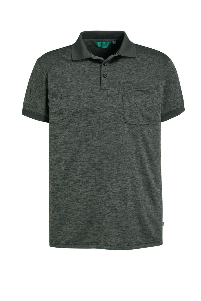 Fons Polo
