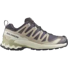 XA PRO 3D V9 GTX Trailrunschoen