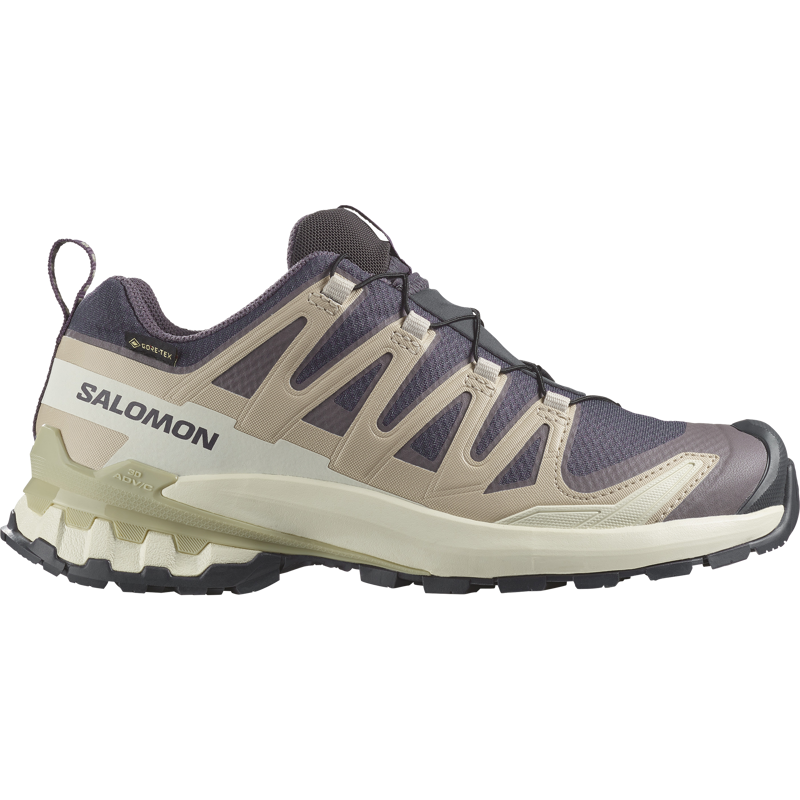 XA PRO 3D V9 GTX Trailrunningschoen