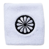 Wristband