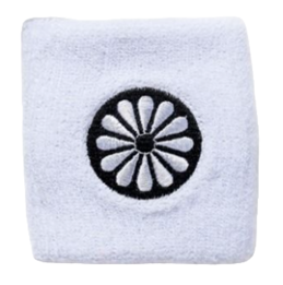 Wristband