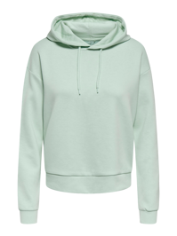 Onp Lounge Hood Ls Swt