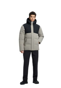 Parksville Ski-jas