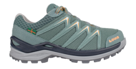Lowa Innox Pro 4Daagse GTX Wandelschoen Dames