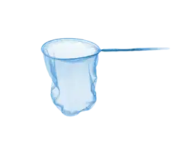 VISNET