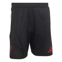 Liverpool FC Trainingsbroekje 26/27 Senior