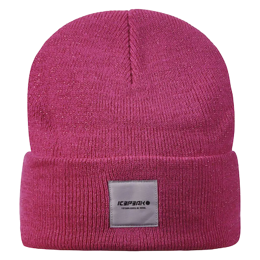 Hanahan Beanie