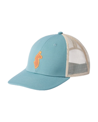 Llama Trucker Pet