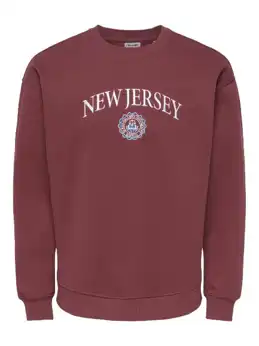 Connor College Rlx Ls Crew Neck