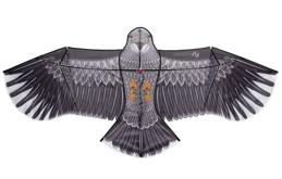 Vlieger Eagle