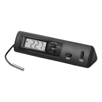 Thermometer