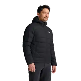 Wild Pass Down Hoody