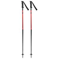 Electra Skistokken