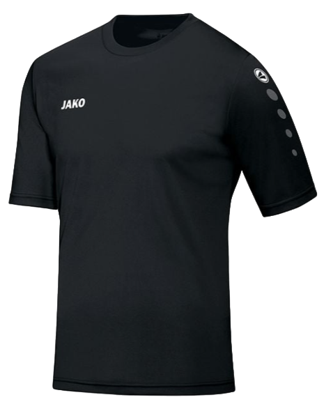 Team SS T-shirt Heren