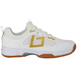 Shoe Indoor Tribute