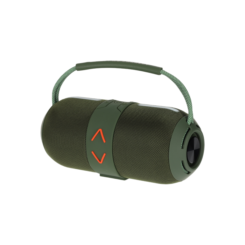 Brainz Speaker Rox