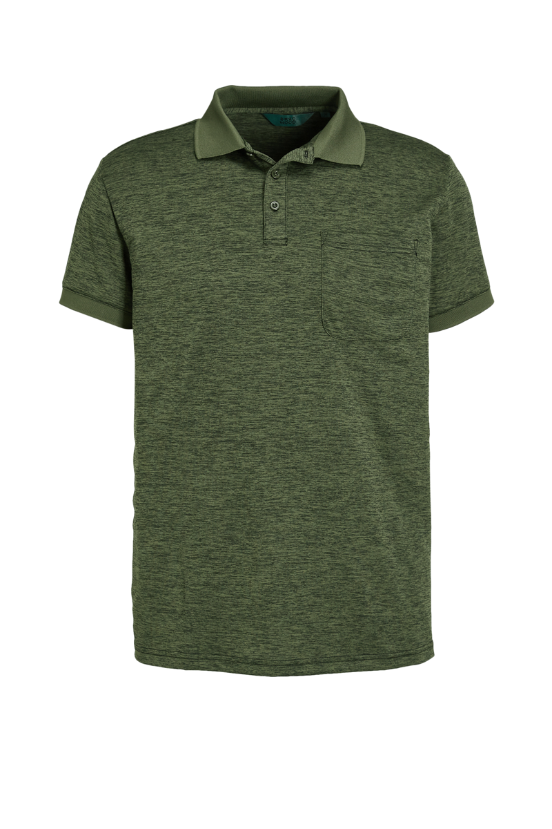 Fons Polo