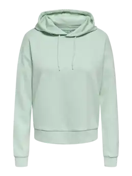 Onp Lounge Hood Ls Swt