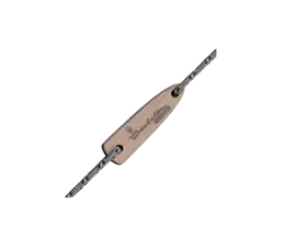 Typhoon