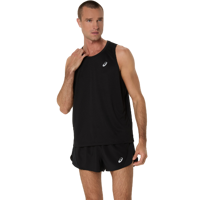 Core Singlet