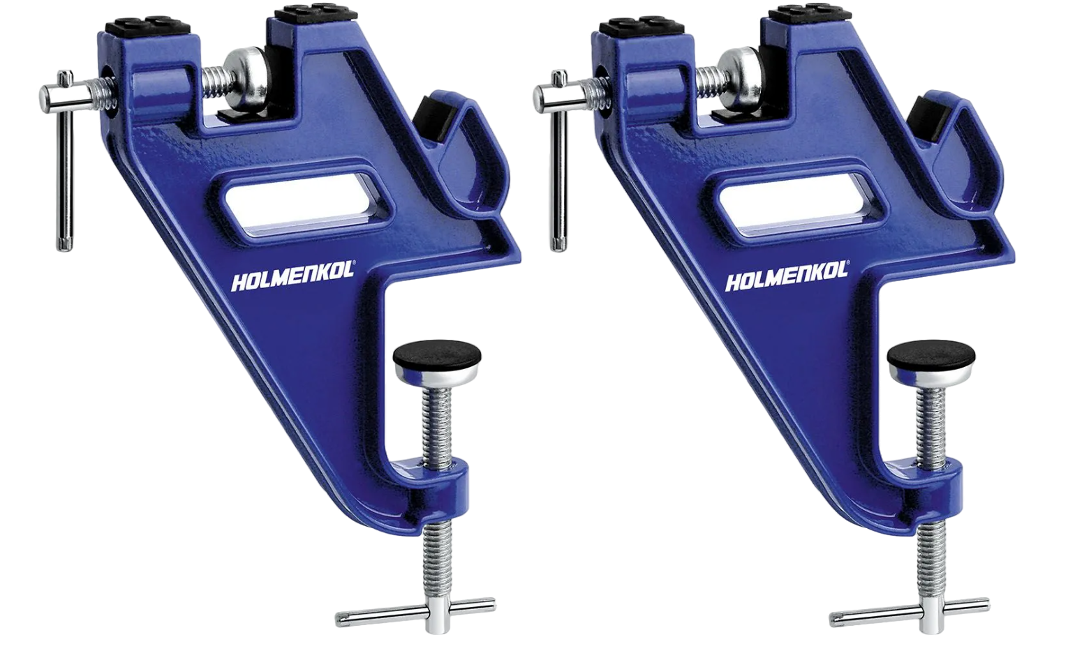 Easy Ski Vise