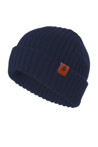 Toronto Beanie